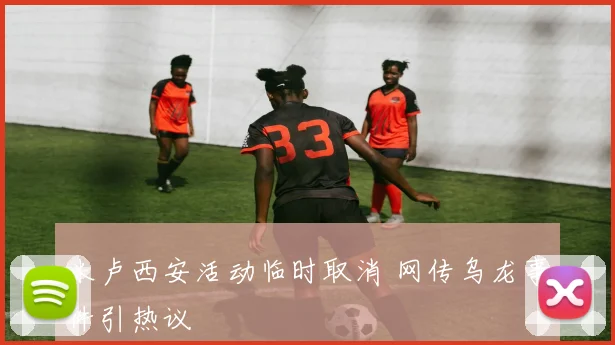 米卢西安活动临时取消 网传乌龙事件引热议